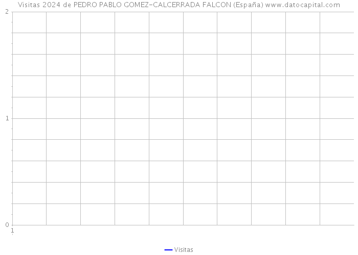 Visitas 2024 de PEDRO PABLO GOMEZ-CALCERRADA FALCON (España) 