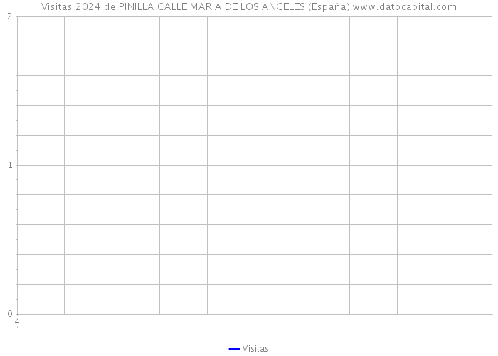 Visitas 2024 de PINILLA CALLE MARIA DE LOS ANGELES (España) 