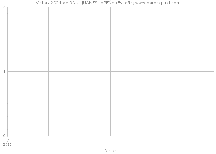 Visitas 2024 de RAUL JUANES LAPEÑA (España) 