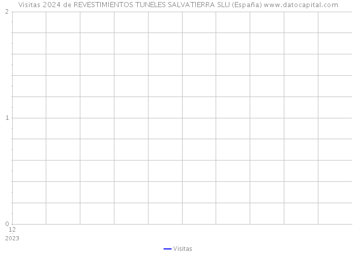 Visitas 2024 de REVESTIMIENTOS TUNELES SALVATIERRA SLU (España) 