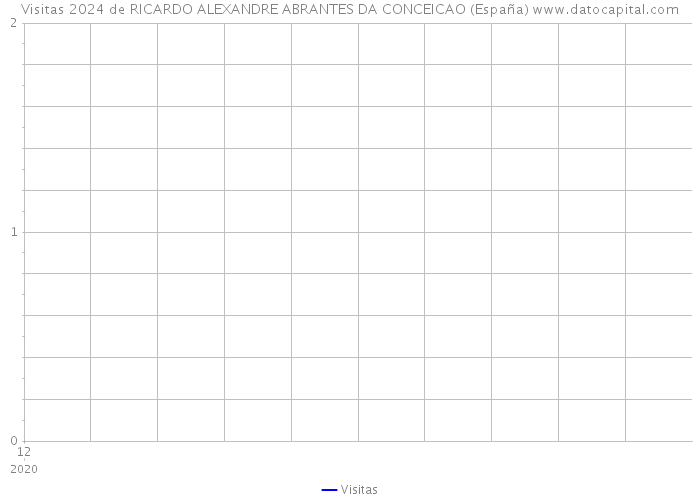 Visitas 2024 de RICARDO ALEXANDRE ABRANTES DA CONCEICAO (España) 