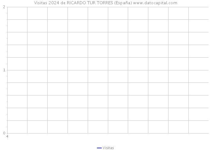 Visitas 2024 de RICARDO TUR TORRES (España) 