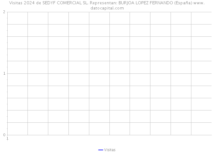 Visitas 2024 de SEDYF COMERCIAL SL. Representan: BURJOA LOPEZ FERNANDO (España) 