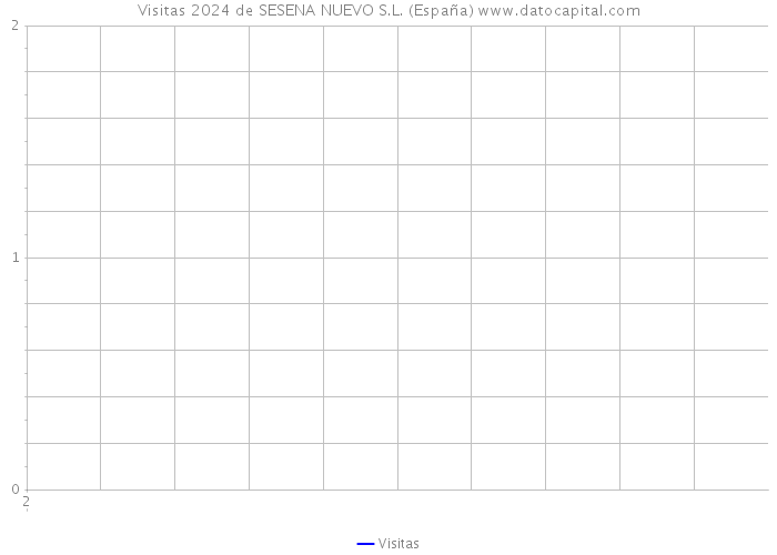 Visitas 2024 de SESENA NUEVO S.L. (España) 