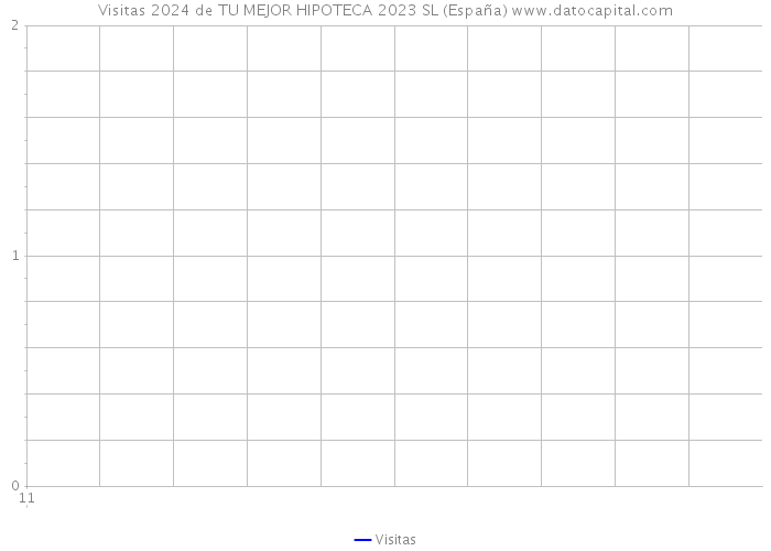 Visitas 2024 de TU MEJOR HIPOTECA 2023 SL (España) 