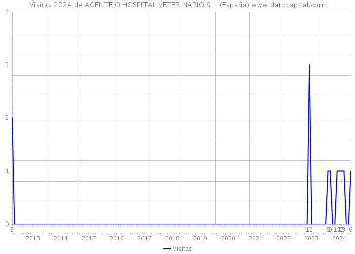 Visitas 2024 de ACENTEJO HOSPITAL VETERINARIO SLL (España) 