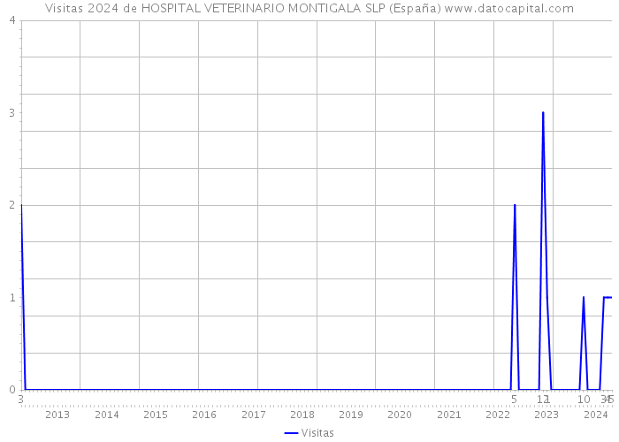 Visitas 2024 de HOSPITAL VETERINARIO MONTIGALA SLP (España) 