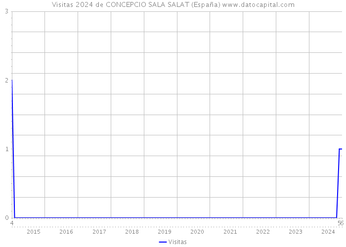 Visitas 2024 de CONCEPCIO SALA SALAT (España) 