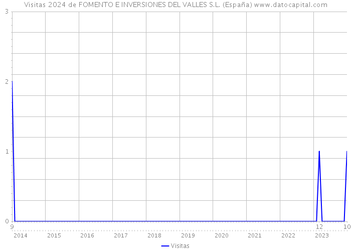 Visitas 2024 de FOMENTO E INVERSIONES DEL VALLES S.L. (España) 