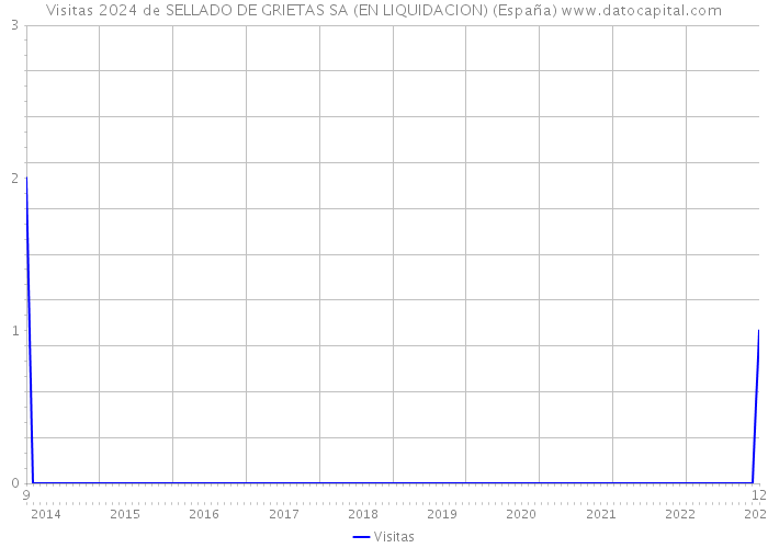 Visitas 2024 de SELLADO DE GRIETAS SA (EN LIQUIDACION) (España) 