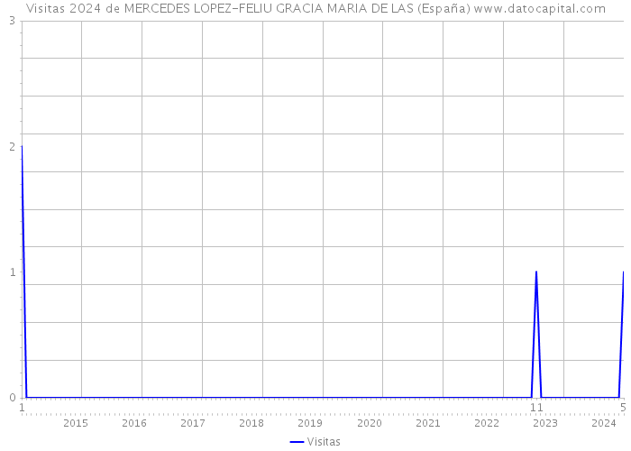 Visitas 2024 de MERCEDES LOPEZ-FELIU GRACIA MARIA DE LAS (España) 