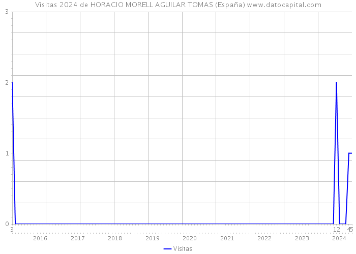 Visitas 2024 de HORACIO MORELL AGUILAR TOMAS (España) 
