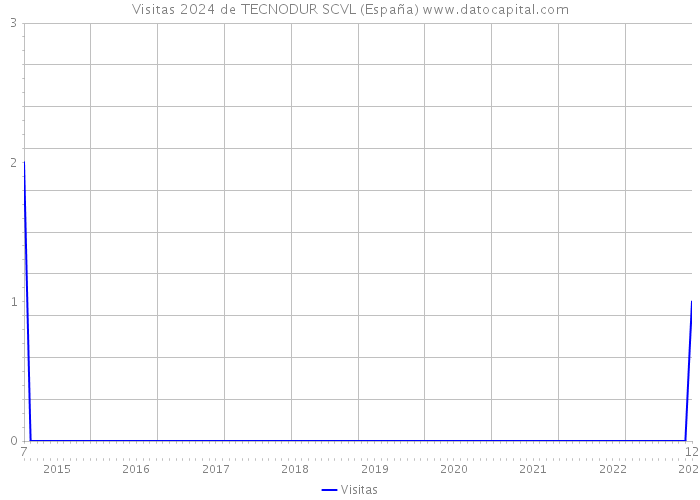 Visitas 2024 de TECNODUR SCVL (España) 