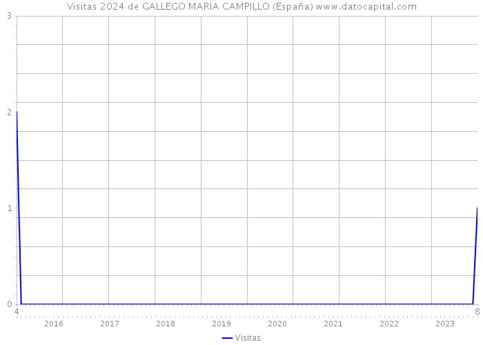 Visitas 2024 de GALLEGO MARIA CAMPILLO (España) 