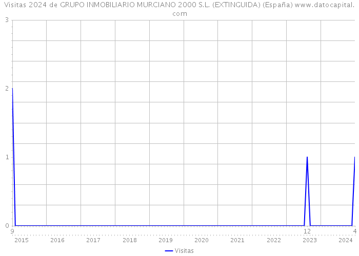 Visitas 2024 de GRUPO INMOBILIARIO MURCIANO 2000 S.L. (EXTINGUIDA) (España) 