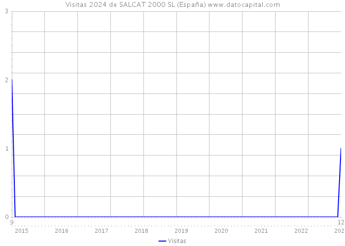 Visitas 2024 de SALCAT 2000 SL (España) 