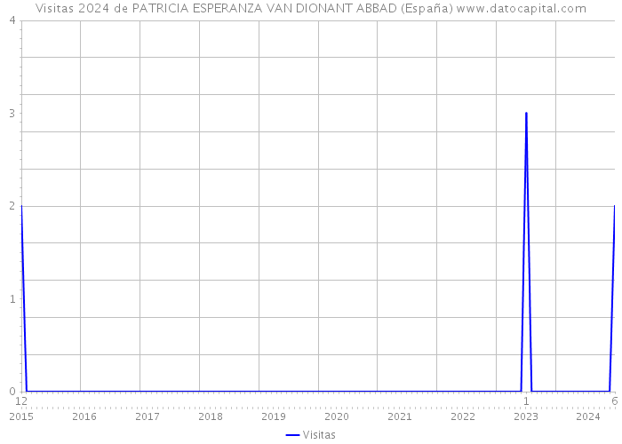 Visitas 2024 de PATRICIA ESPERANZA VAN DIONANT ABBAD (España) 