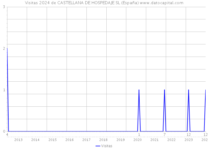 Visitas 2024 de CASTELLANA DE HOSPEDAJE SL (España) 