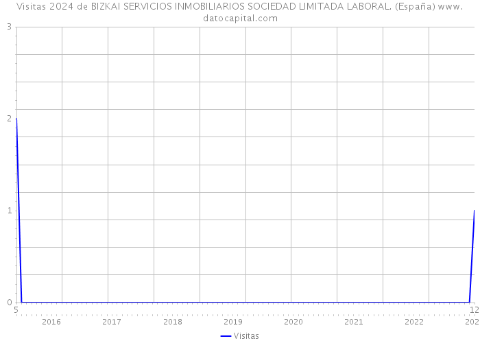 Visitas 2024 de BIZKAI SERVICIOS INMOBILIARIOS SOCIEDAD LIMITADA LABORAL. (España) 
