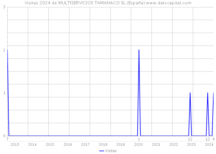 Visitas 2024 de MULTISERVICIOS TAMANACO SL (España) 