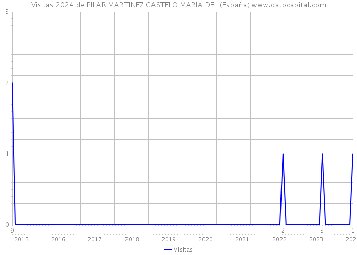 Visitas 2024 de PILAR MARTINEZ CASTELO MARIA DEL (España) 