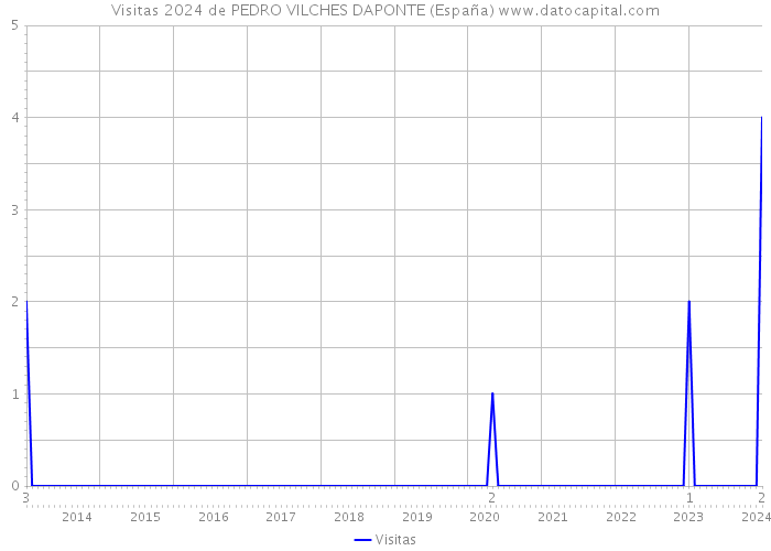 Visitas 2024 de PEDRO VILCHES DAPONTE (España) 