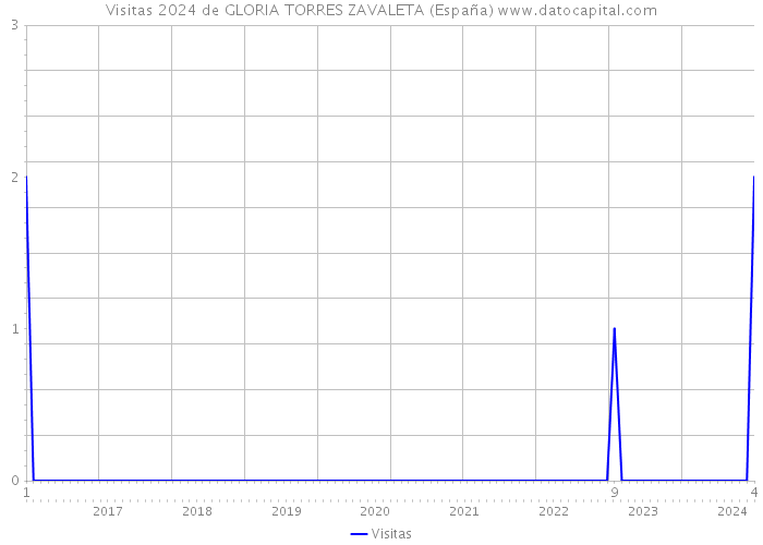 Visitas 2024 de GLORIA TORRES ZAVALETA (España) 