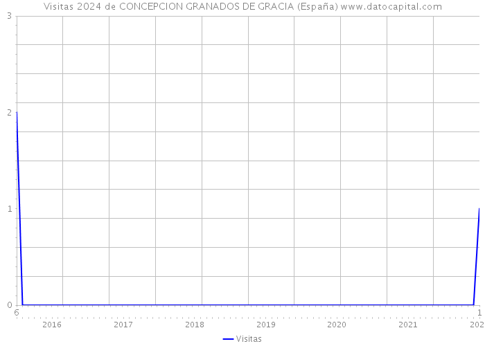Visitas 2024 de CONCEPCION GRANADOS DE GRACIA (España) 
