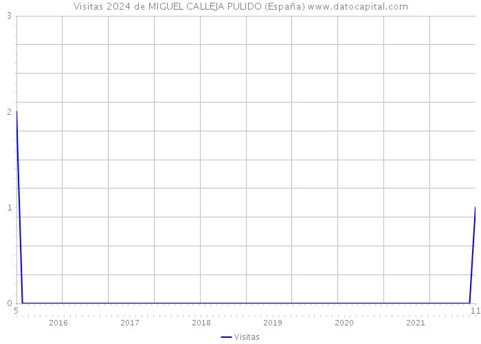 Visitas 2024 de MIGUEL CALLEJA PULIDO (España) 