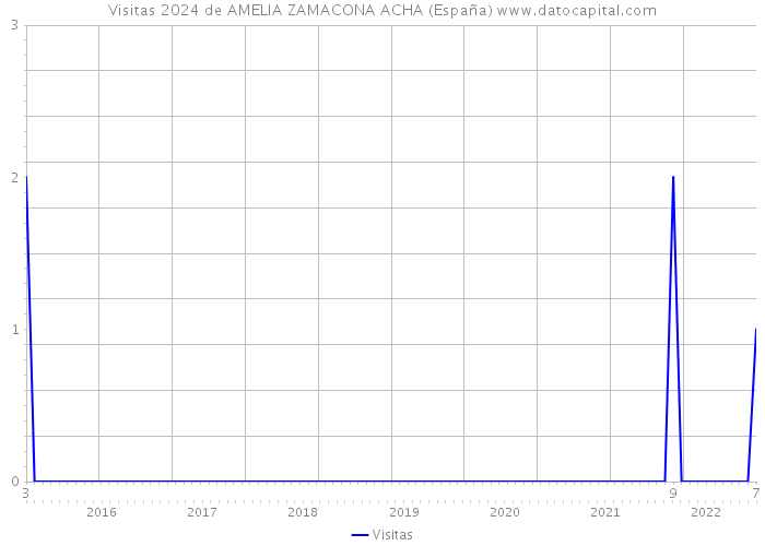 Visitas 2024 de AMELIA ZAMACONA ACHA (España) 