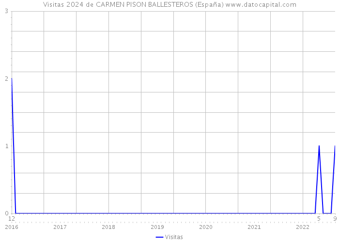 Visitas 2024 de CARMEN PISON BALLESTEROS (España) 