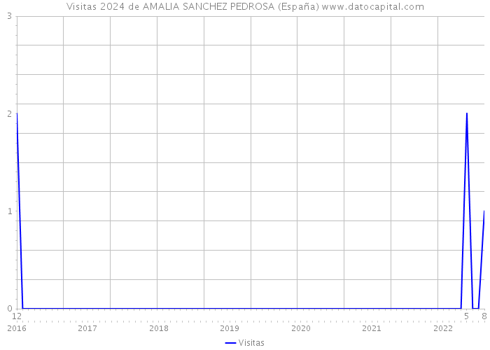Visitas 2024 de AMALIA SANCHEZ PEDROSA (España) 