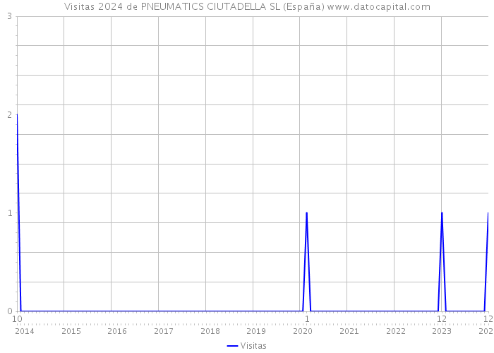 Visitas 2024 de PNEUMATICS CIUTADELLA SL (España) 