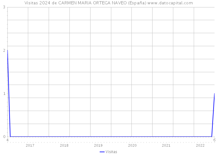 Visitas 2024 de CARMEN MARIA ORTEGA NAVEO (España) 