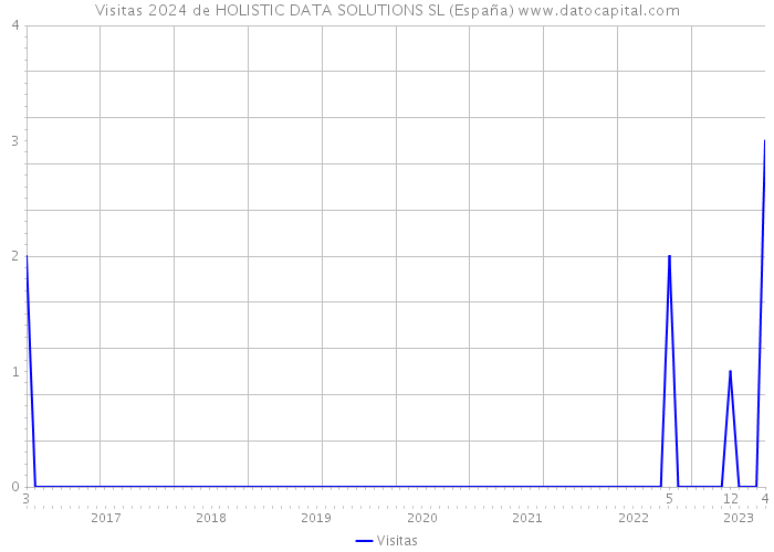 Visitas 2024 de HOLISTIC DATA SOLUTIONS SL (España) 
