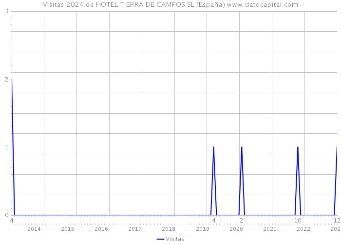 Visitas 2024 de HOTEL TIERRA DE CAMPOS SL (España) 