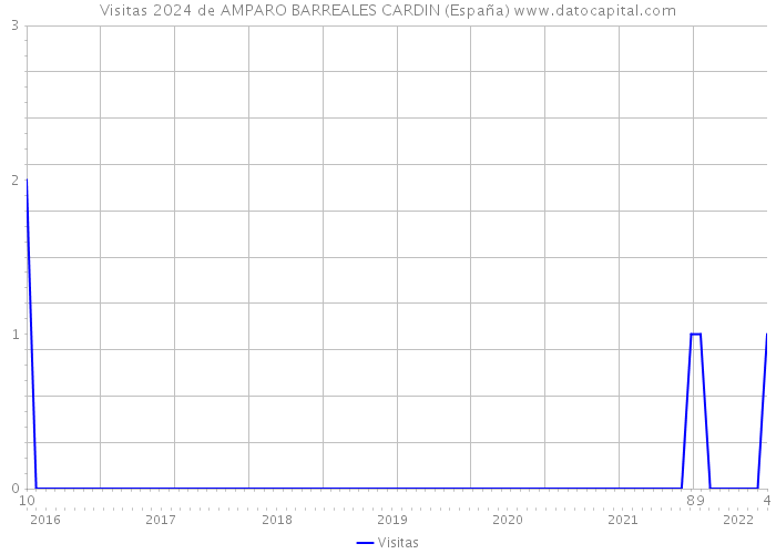 Visitas 2024 de AMPARO BARREALES CARDIN (España) 