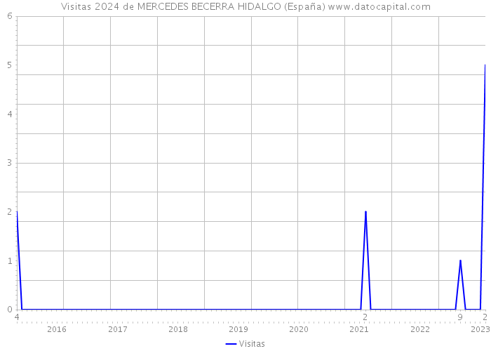 Visitas 2024 de MERCEDES BECERRA HIDALGO (España) 