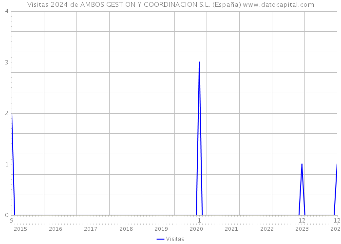 Visitas 2024 de AMBOS GESTION Y COORDINACION S.L. (España) 