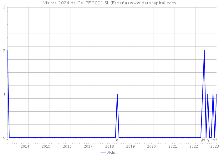 Visitas 2024 de GALPE 2001 SL (España) 