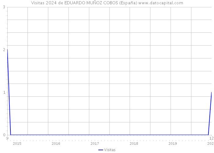 Visitas 2024 de EDUARDO MUÑOZ COBOS (España) 