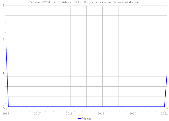 Visitas 2024 de CESAR GIL BELLIDO (España) 