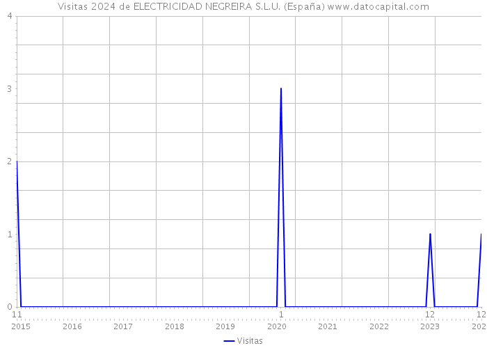 Visitas 2024 de ELECTRICIDAD NEGREIRA S.L.U. (España) 