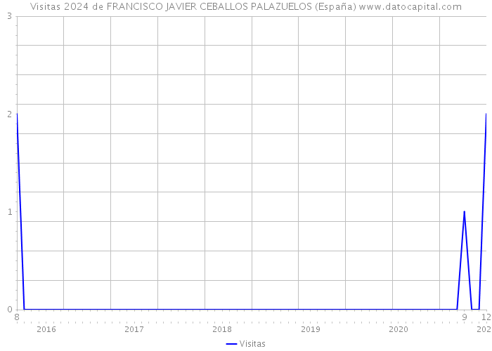 Visitas 2024 de FRANCISCO JAVIER CEBALLOS PALAZUELOS (España) 