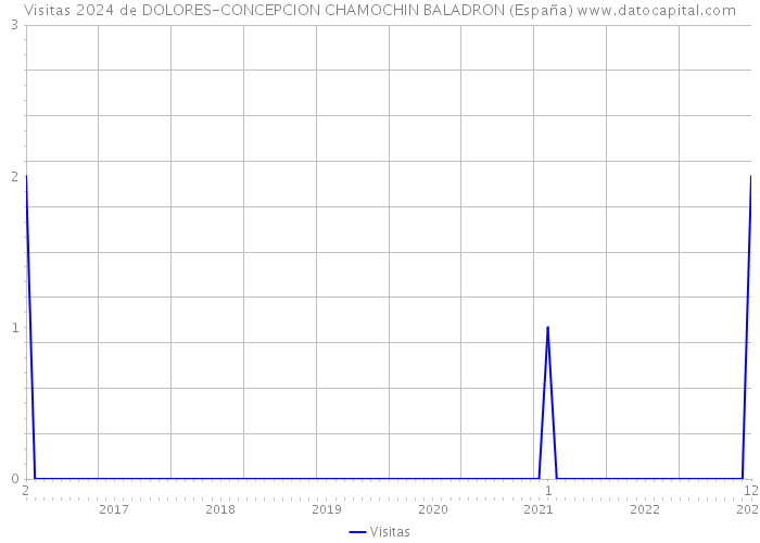 Visitas 2024 de DOLORES-CONCEPCION CHAMOCHIN BALADRON (España) 