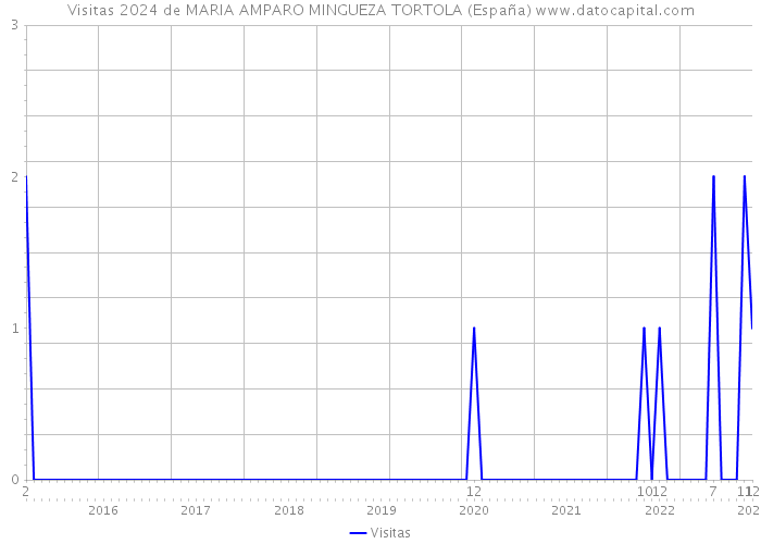 Visitas 2024 de MARIA AMPARO MINGUEZA TORTOLA (España) 