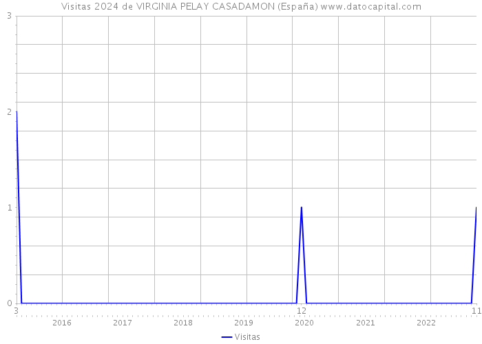 Visitas 2024 de VIRGINIA PELAY CASADAMON (España) 