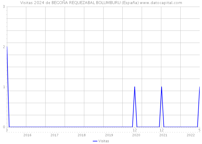 Visitas 2024 de BEGOÑA REQUEZABAL BOLUMBURU (España) 