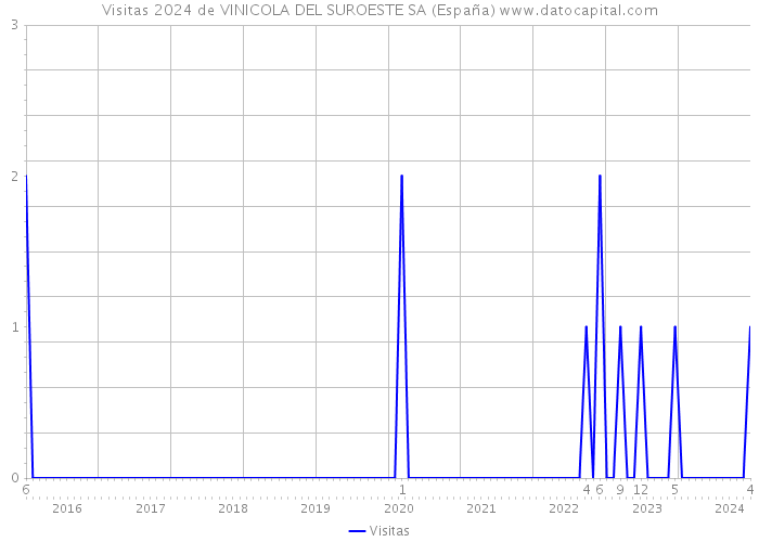 Visitas 2024 de VINICOLA DEL SUROESTE SA (España) 