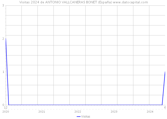 Visitas 2024 de ANTONIO VALLCANERAS BONET (España) 
